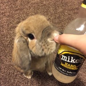 Meet your Posher, Joel